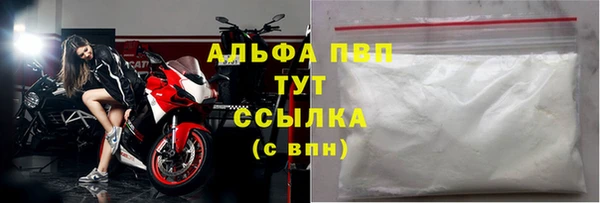 apvp Алзамай