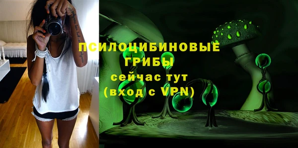 apvp Алзамай